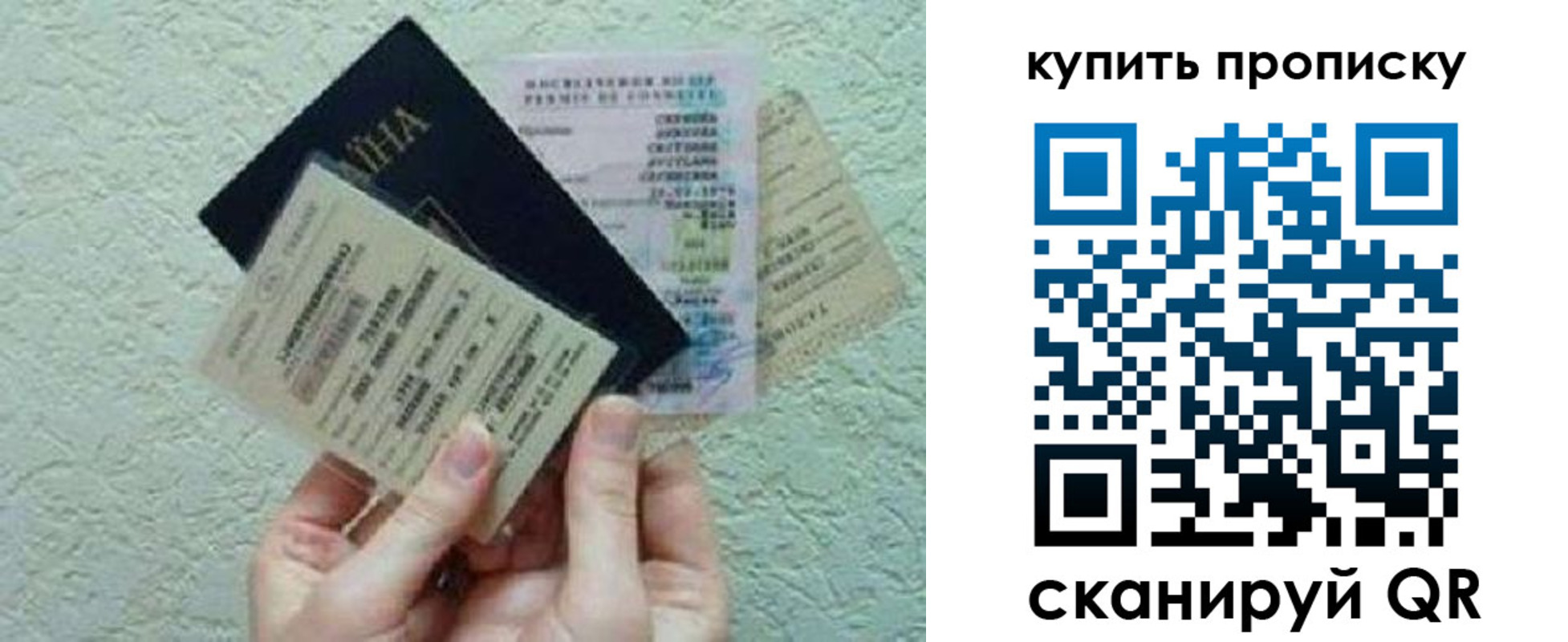 прописка для школы в Струнино